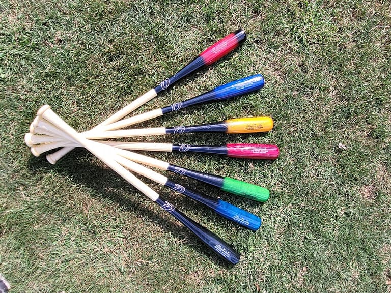 Fungo Custom Baseball Bat